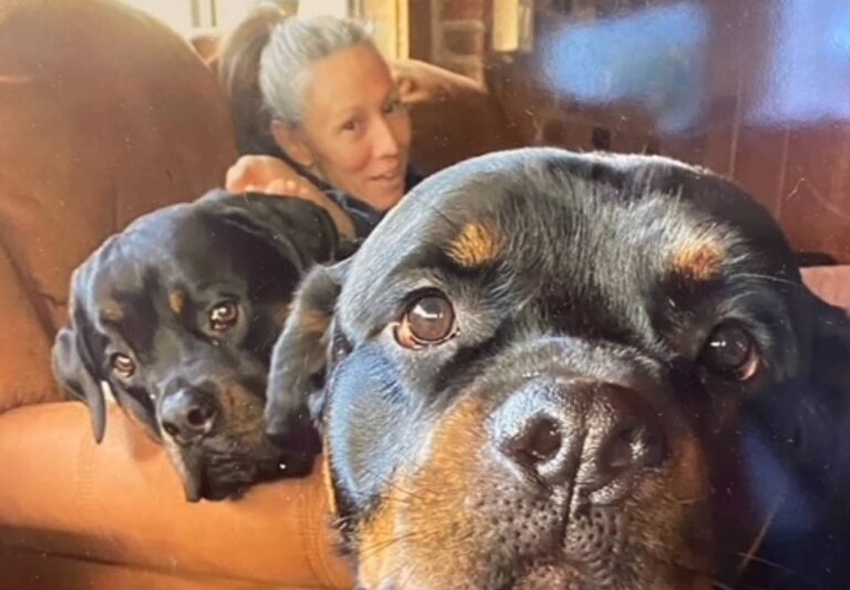 Doctor with two puppies