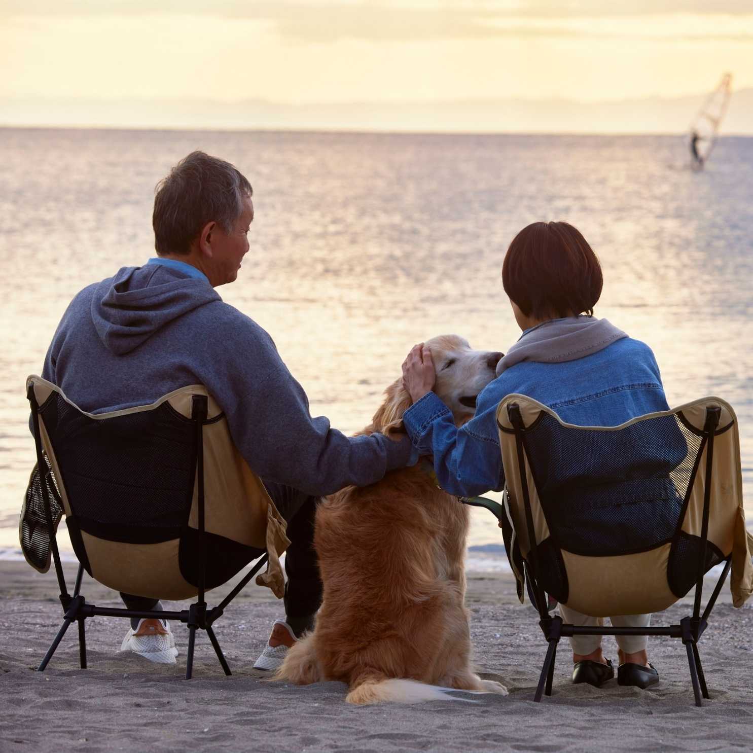 Dog sitting with parent near the beach